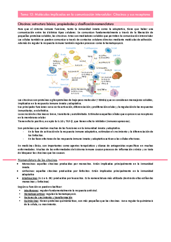 Miniatura del documento Tema-13.pdf