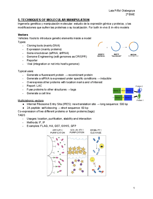 Miniatura del documento T5-TECHNIQUES-OF-MOLECULAR-MANIPULATION.pdf