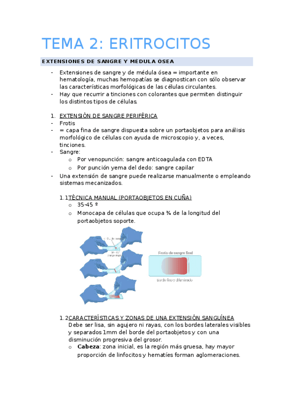 Miniatura del documento Tema-2.-Eritrocitos.docx