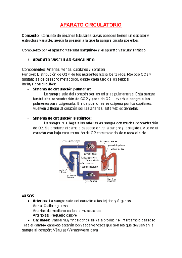 Miniatura del documento Aparato-circulatorio.pdf