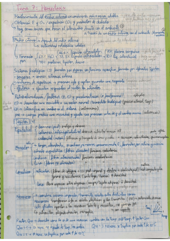 Miniatura del documento Apuntes-tema-7-homeostasis.pdf