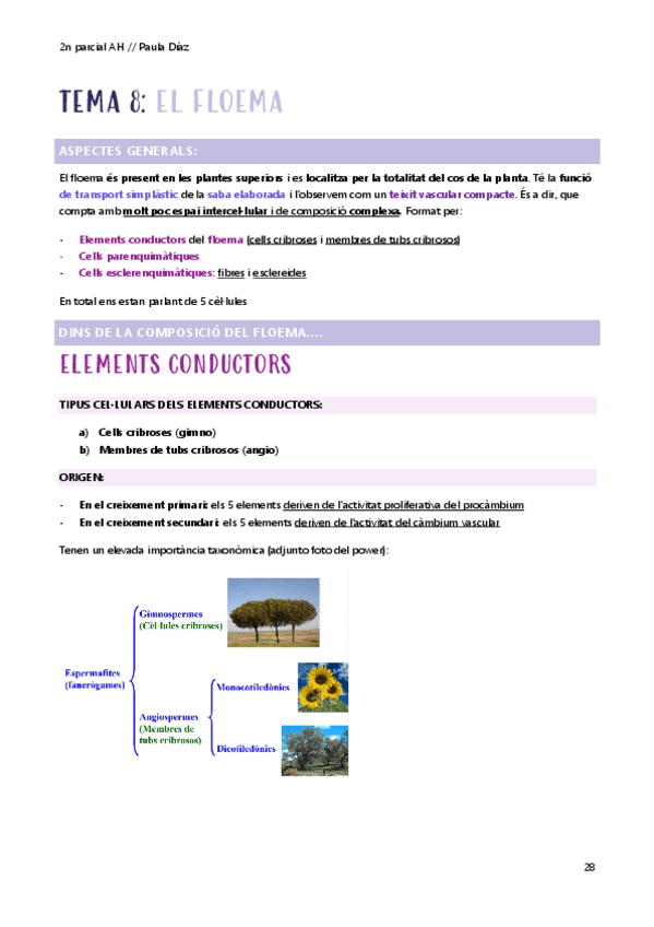 Miniatura del documento 2n-Parcial-AH-t-8-part-I-i-part-II.pdf