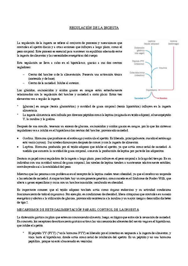 Miniatura del documento TEMA-11.1REGULACION-DE-LA-INGESTA.pdf