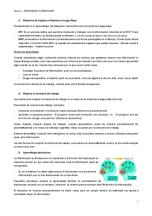 Miniatura del documento Tema-1Aprender-a-aprender.pdf