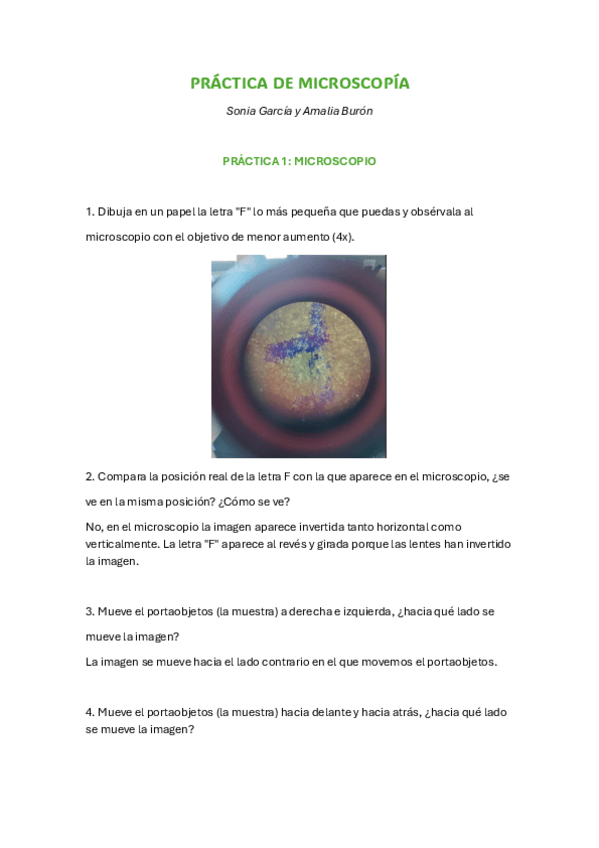Miniatura del documento PRACTICA-MICROSCOPIO.pdf