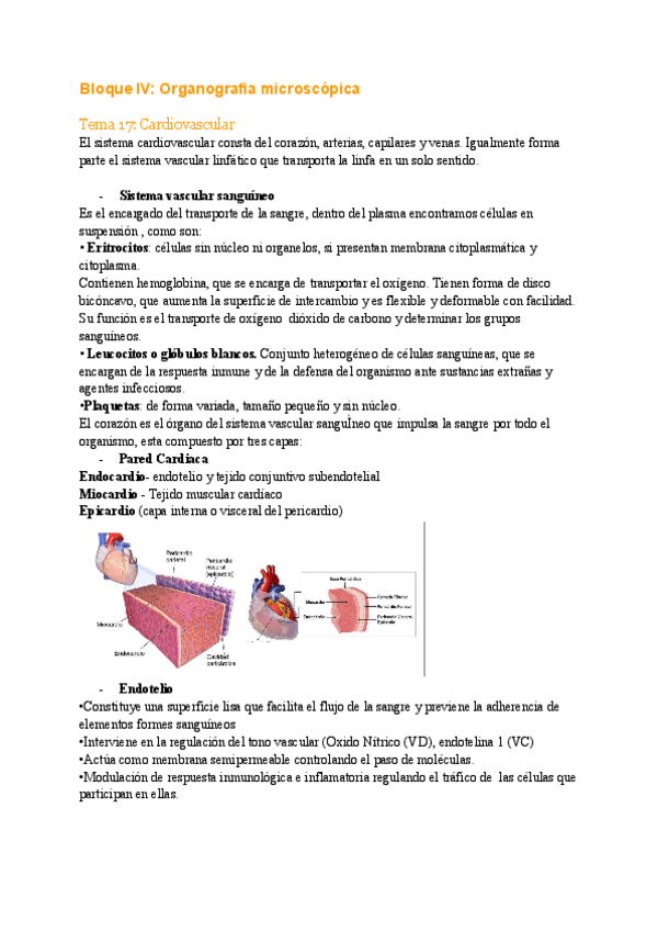 Miniatura del documento Aparato-cardiovascular-y-respiratorio.pdf