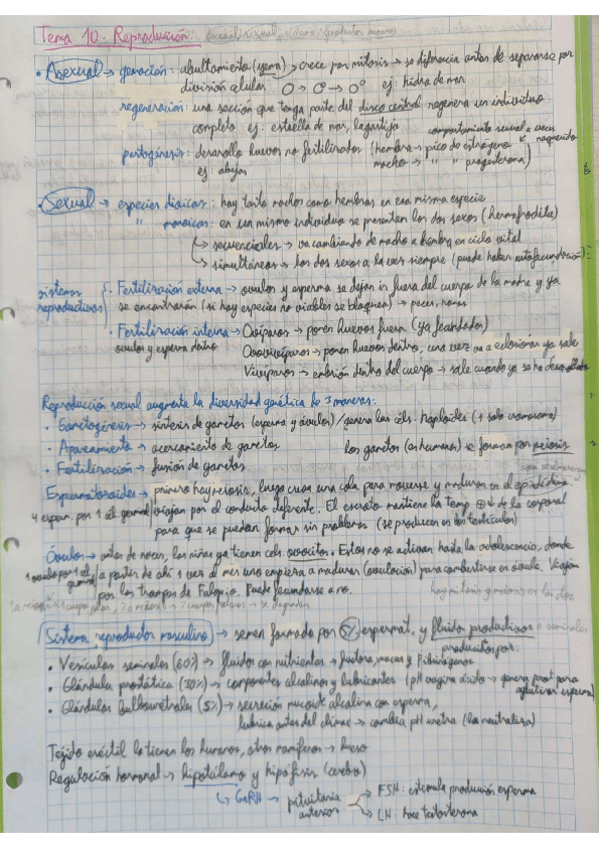 Miniatura del documento Apuntes-tema-10-reproduccion.pdf