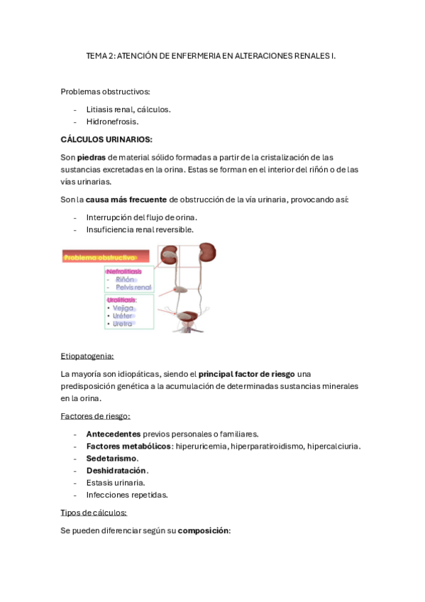 Miniatura del documento Tema-2.pdf