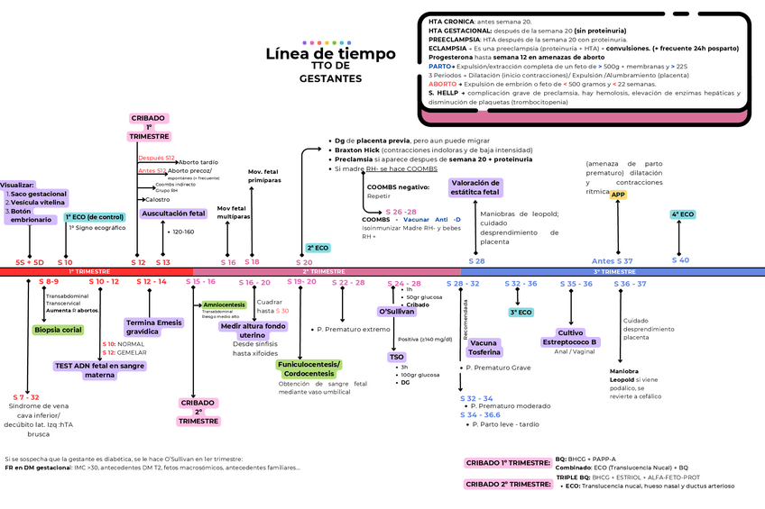 Miniatura del documento LINEA-TIEMPO-MUJER.pdf