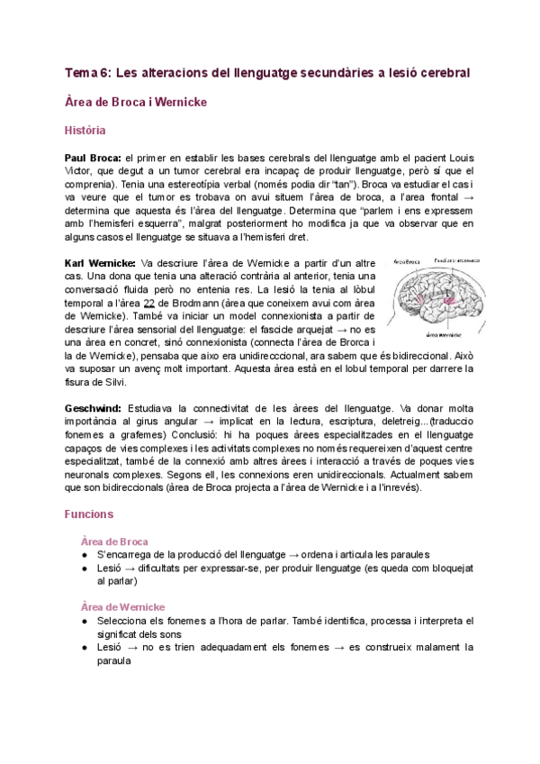 Miniatura del documento Tema-6-Les-alteracions-del-llenguatge-secundaries-a-lesio-cerebral.pdf