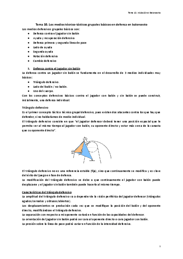 Miniatura del documento Tema-10.-Los-medios-tecnico-tacticos-grupales-basicos-en-defensa-en-baloncesto.pdf