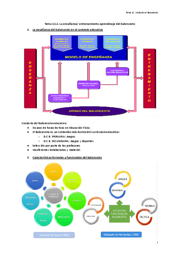 Miniatura del documento Tema-12.2.-La-ensenanza-entrenamiento-aprendizaje-del-baloncesto.pdf
