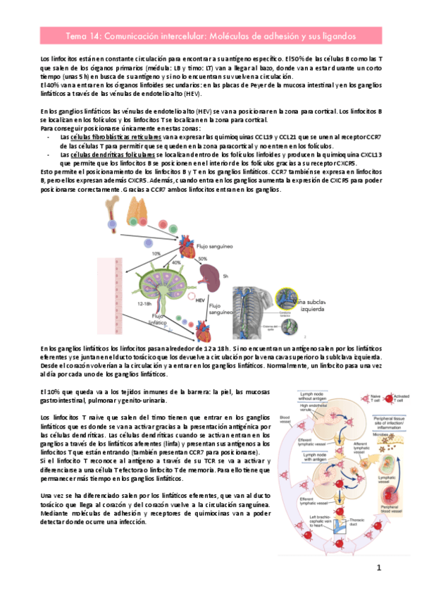 Miniatura del documento Tema-14.pdf