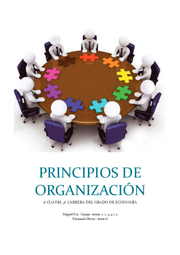 Miniatura del documento APUNTES-COMPLETOS-PRINCIPIOS-DE-ORGANIZACION.pdf