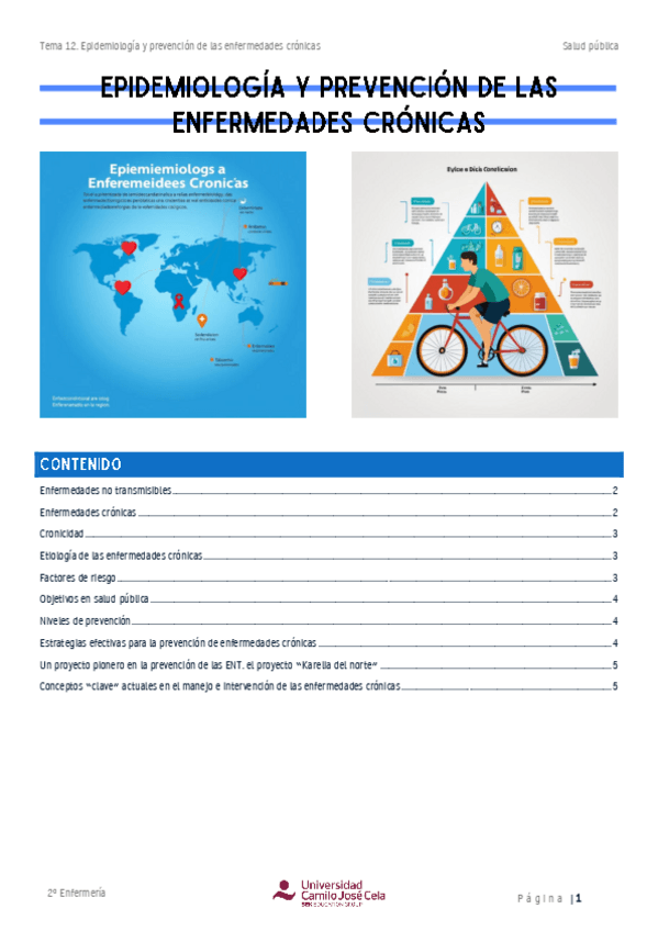 Miniatura del documento Resumen-12.-Epidemiologia-y-prevencion-de-las-enfermedades-cronicas.pdf