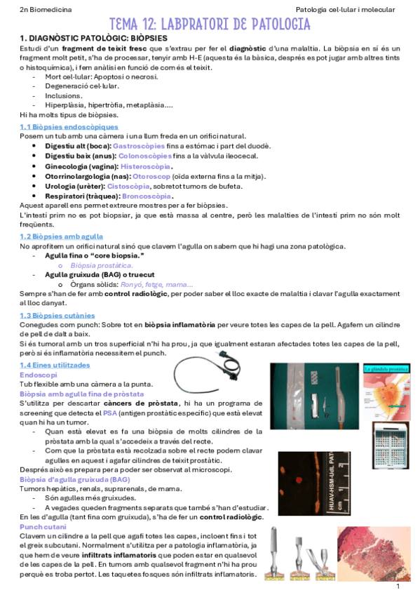 Miniatura del documento T12-Laboratori-de-patologia.pdf