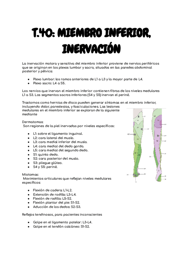 Miniatura del documento T.40-INERVACION-MI.pdf
