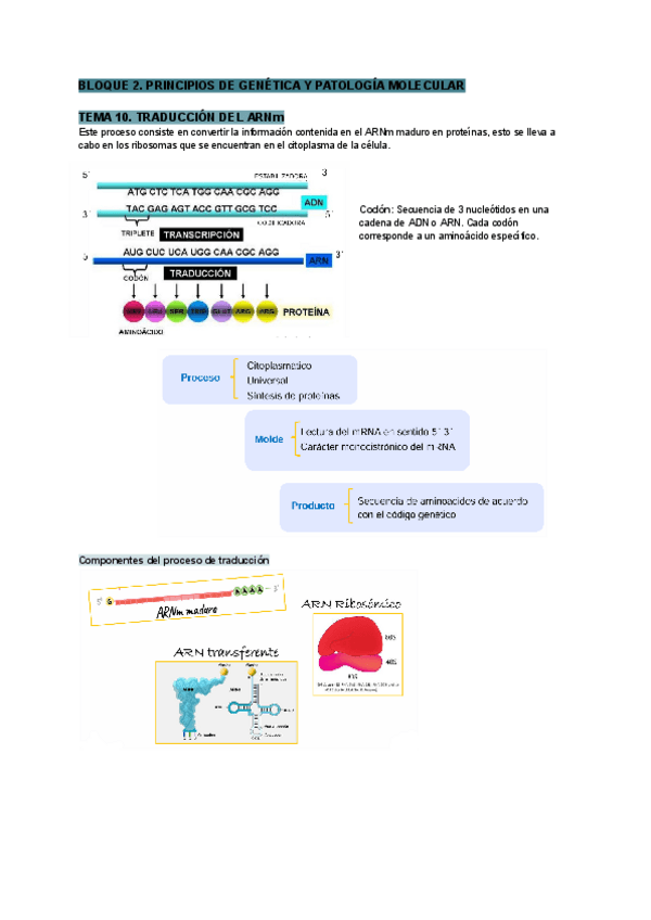 Miniatura del documento Tema-10-biologia-y-bioquimica.pdf