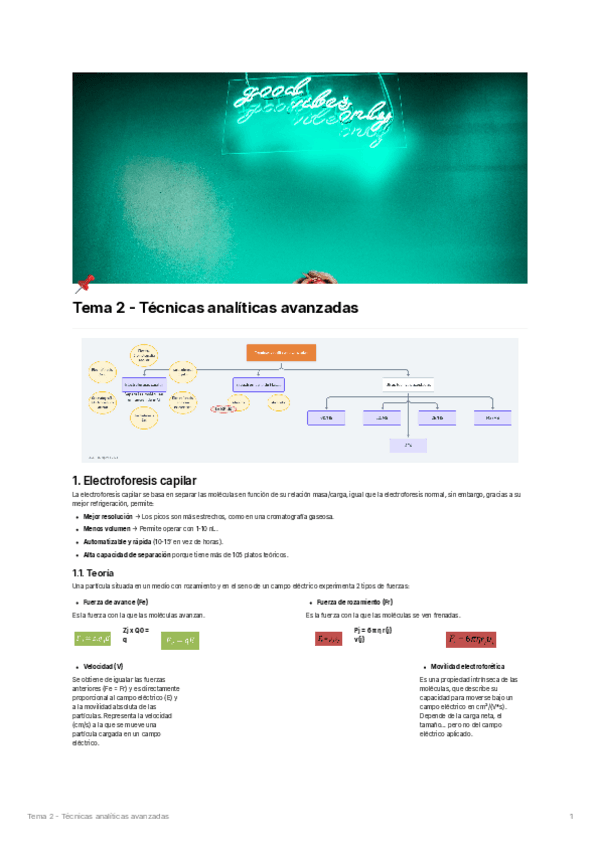 Miniatura del documento Tecnicas-Analiticas-Avanzadas.pdf