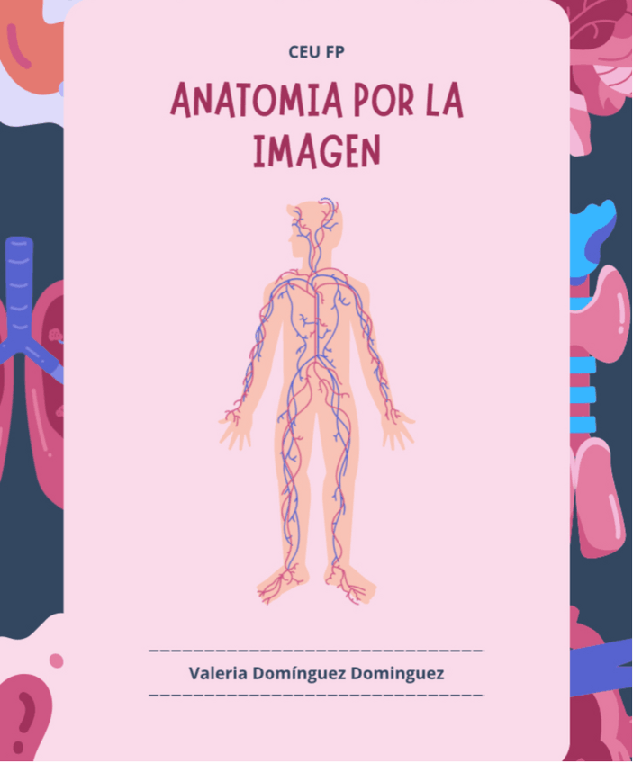Miniatura del documento Anatomia-por-la-imagen.pdf