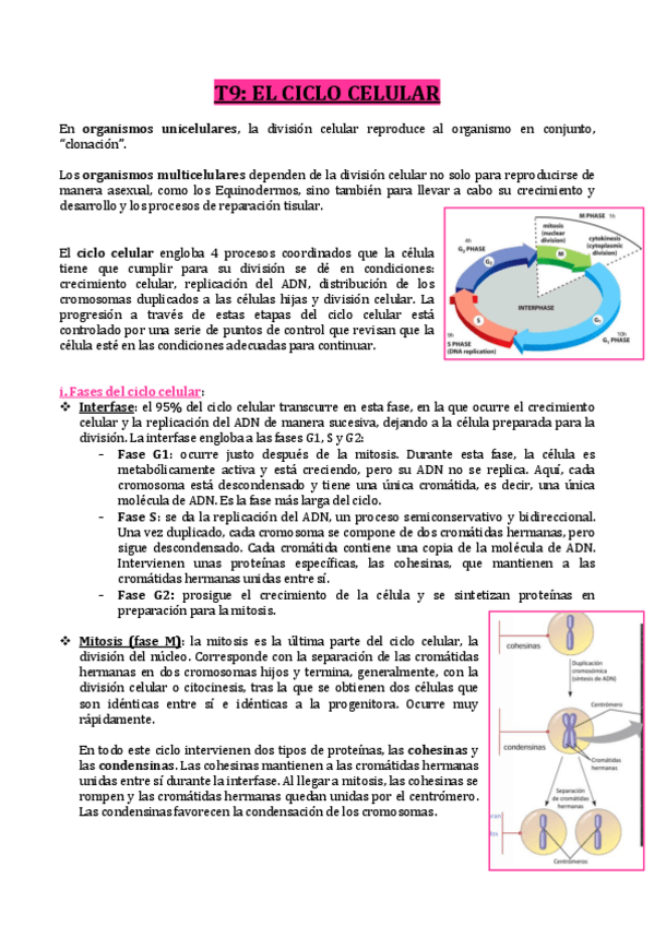 Miniatura del documento TEMA-9-CICLO-CELULAR-Y-SU-CONTROL.pdf
