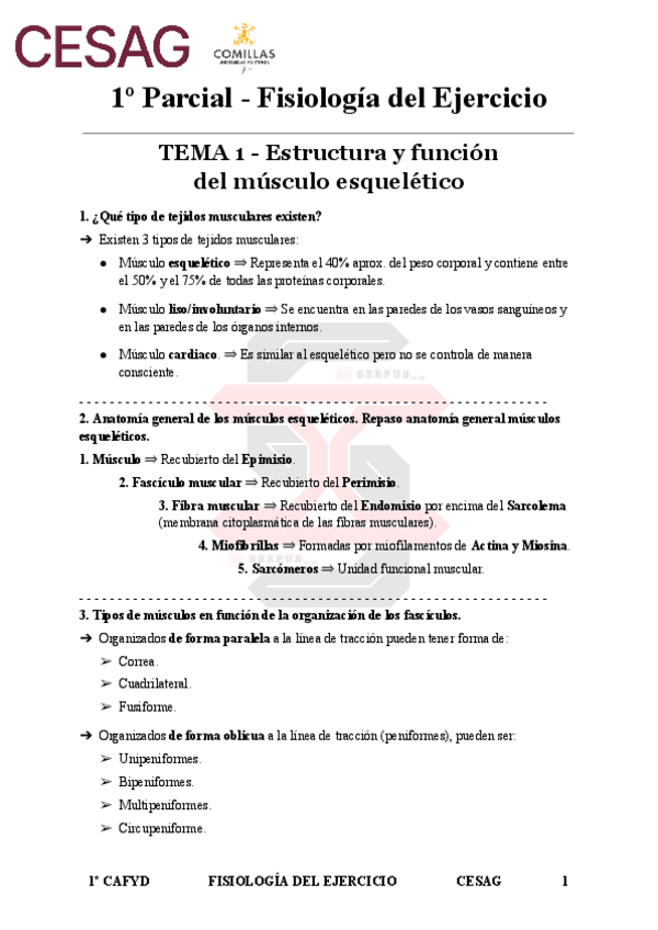 Miniatura del documento Tema-1-Preguntas-Examen-Fisiologia-del-Ejercicio.pdf
