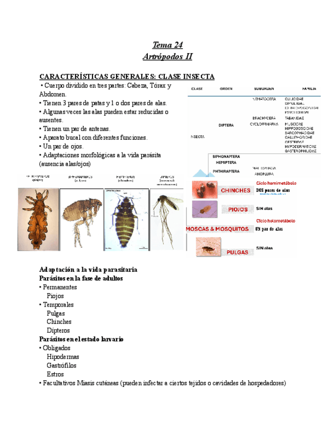 Miniatura del documento Tema-24-parte-II.pdf