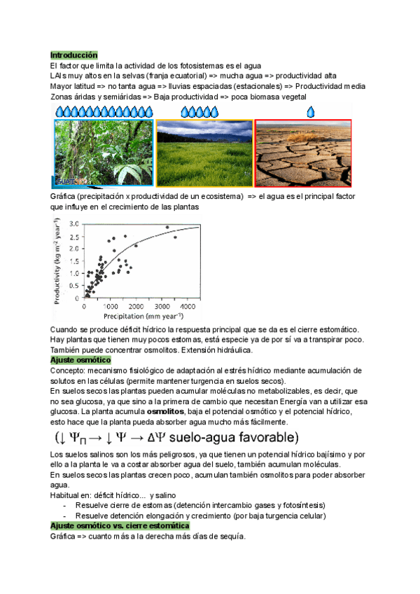 Miniatura del documento TEMA-12.-EL-AGUA.pdf