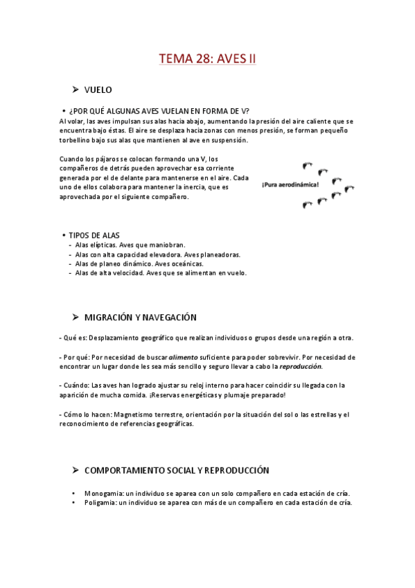 Miniatura del documento TEMA-28-Aves-II.pdf