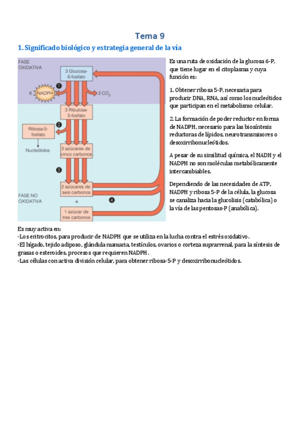 Miniatura del documento Tema-9.pdf