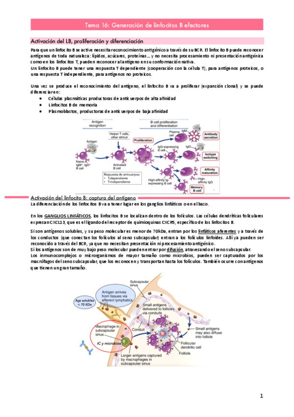 Miniatura del documento Tema-16.pdf