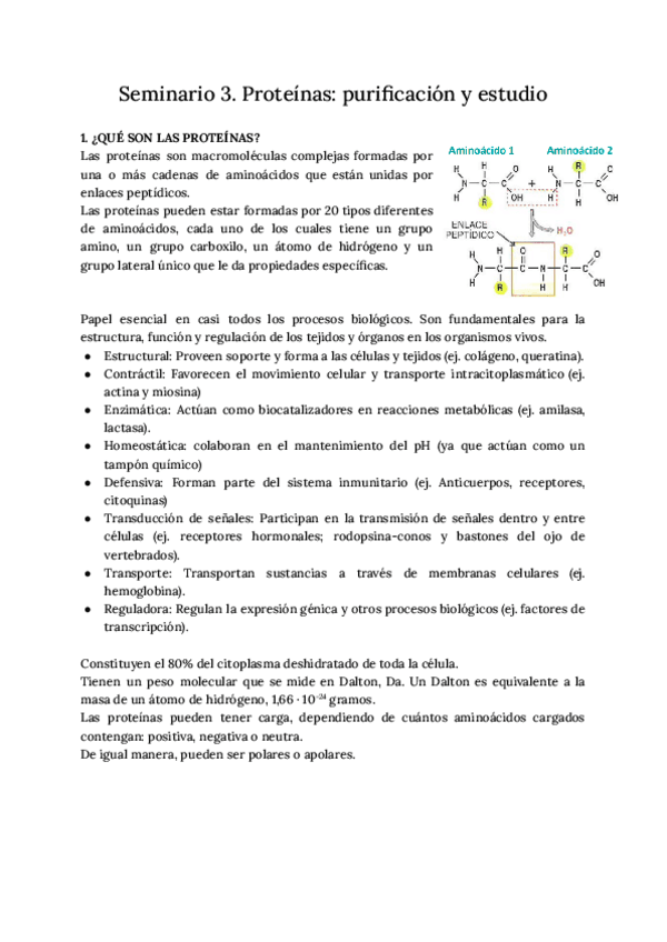 Miniatura del documento SEMINARIO-3-PROTEINAS-PURIFICACION-Y-ESTUDIO.pdf