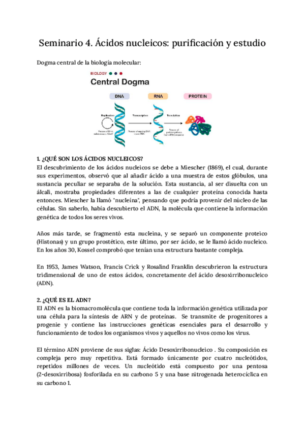 Miniatura del documento SEMINARIO-4-ACIDOS-NUCLEICOS-PURIFICACION-Y-ESTUDIO.pdf