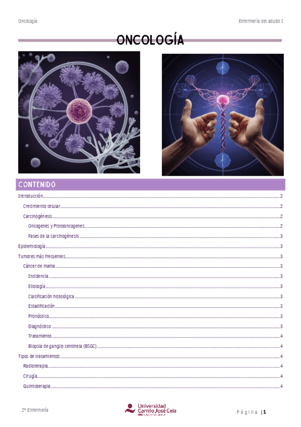 Miniatura del documento Resumen-oncologia.pdf