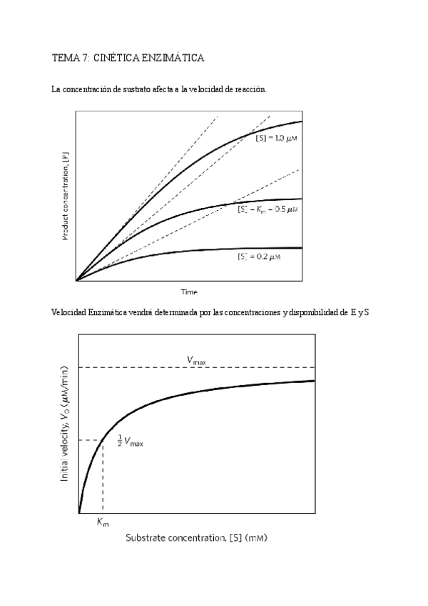Miniatura del documento TEMA-7-CINETICA-ENZIMATICA.pdf