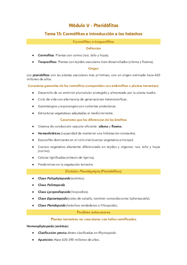 Miniatura del documento Módulo V: Pteridófitos.pdf