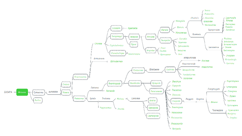 Miniatura del documento Zoologia-Apendice-1-Arbol-filogenetico.pdf