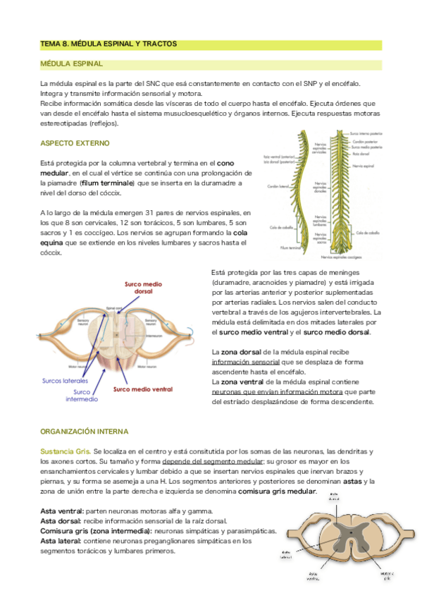 Miniatura del documento Tema-8.pdf