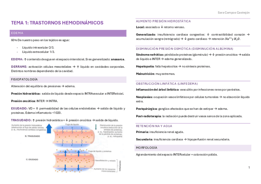 Miniatura del documento Patología Vascular.pdf