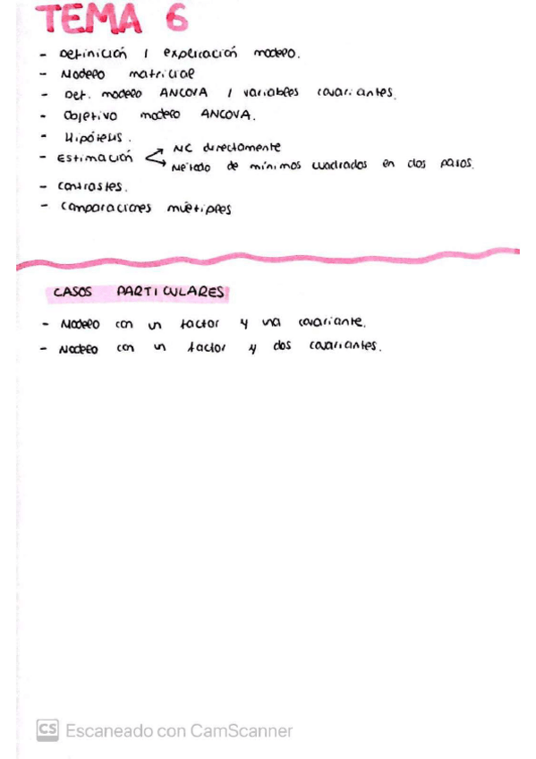 Miniatura del documento Tema-6-DEX.pdf