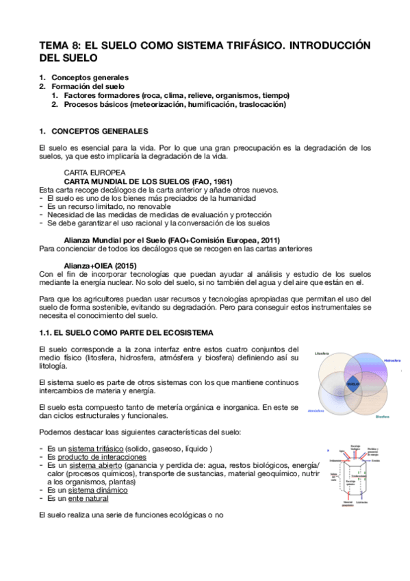 Miniatura del documento MF-T8.pdf
