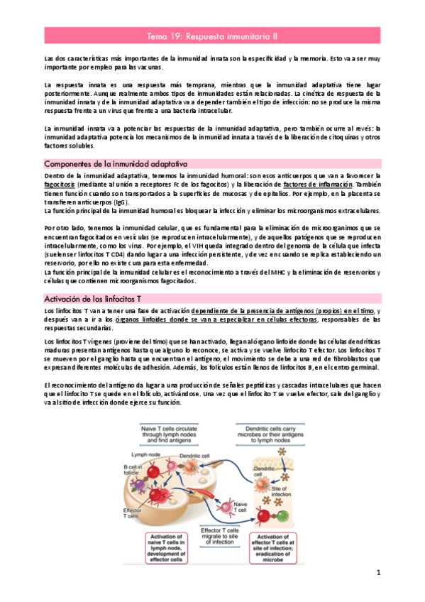 Miniatura del documento Tema-19.pdf