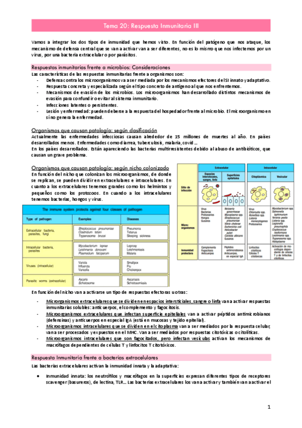 Miniatura del documento Tema-20.pdf