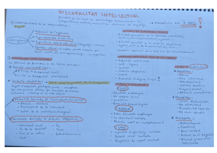 Miniatura del documento ESQUEMA-DISCAPACITAT-INTELLECTUAL.pdf