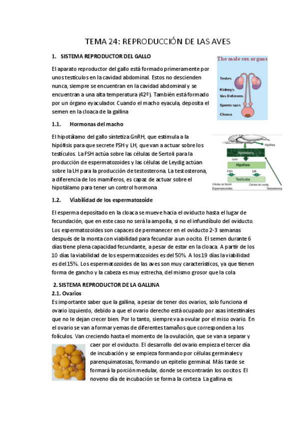 Miniatura del documento T24-Fisiologia-de-la-puesta-en-aves.pdf