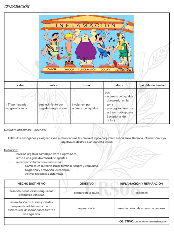 Miniatura del documento 3.-INFLAMACION.pdf