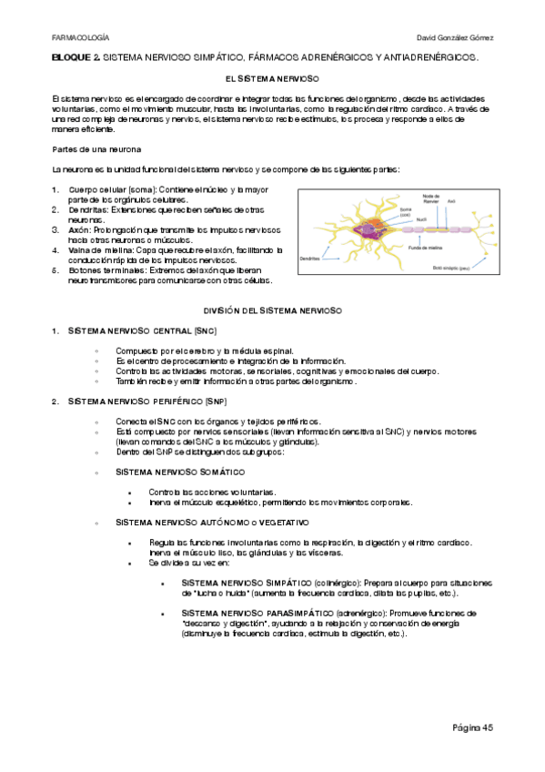 Miniatura del documento BLOQUE-2--EXAMENES.pdf