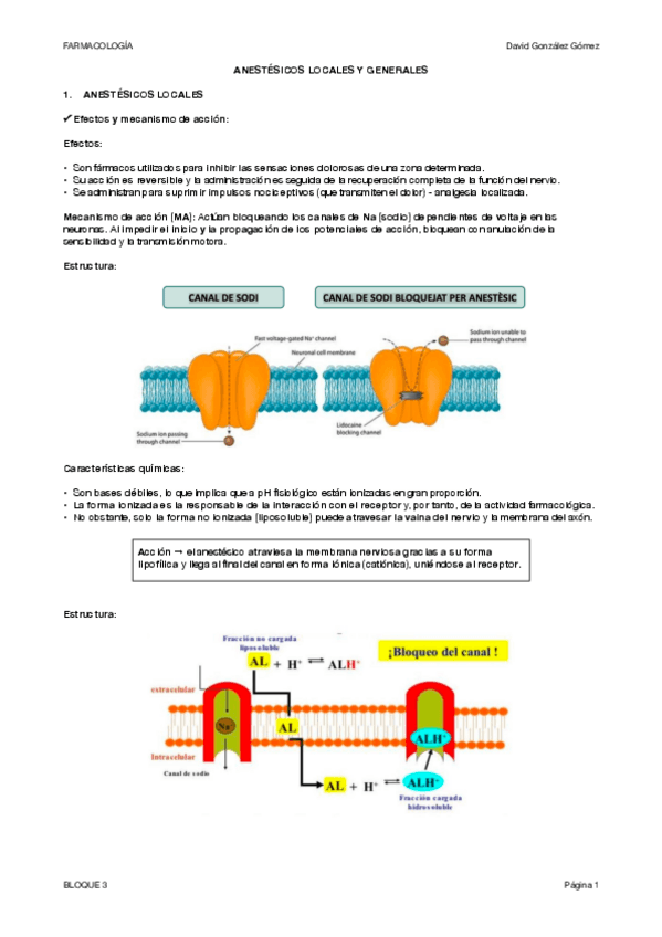 Miniatura del documento BLOQUE-3.pdf