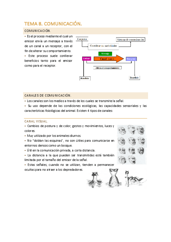 Miniatura del documento TEMA-8.-Comunicacion.pdf