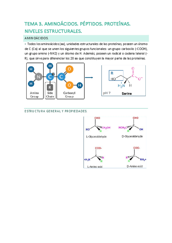 Miniatura del documento Tema-3.-Aminoacidos.pdf